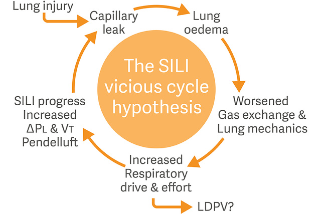 Graphic illustration depicting the SILI self-inflicted lung injury vicious cycle hypothesis