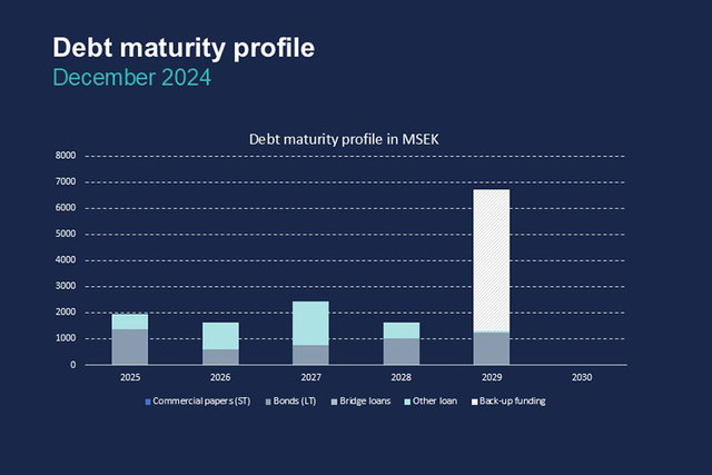 Debt maturity profile December 2024